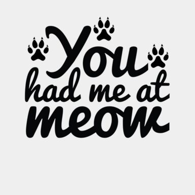 you had me at meow Thumbnail