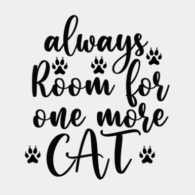 always room for one more cat Thumbnail